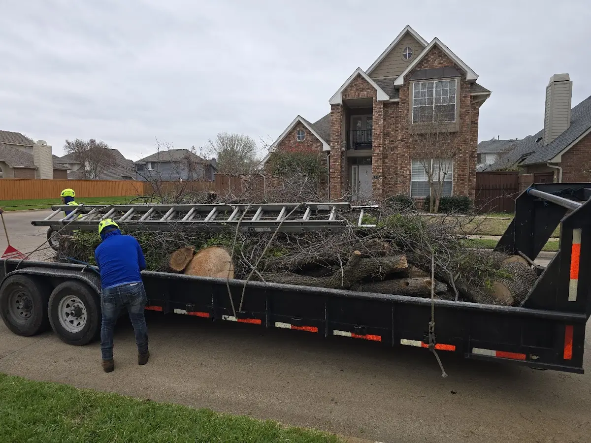 Expert Tree Fertilization with proper safety equipment in Byers